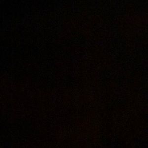 Meet your Posher, Bryson